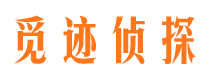 山阴外遇调查取证